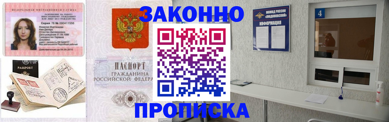 прописка в квартире в Кольчугино